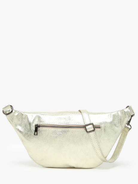 Heuptasje Milano Goud nine NI24062 ander zicht 4