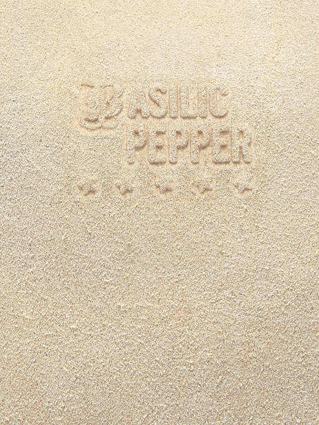 Schoudertas Houston Leder Basilic pepper Beige houston BHOU80 ander zicht 5